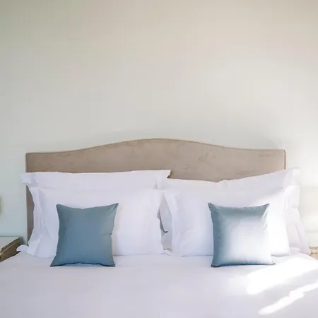 Bed & Breakfast Chateau De L'Aile- Boutique Suites Vevey