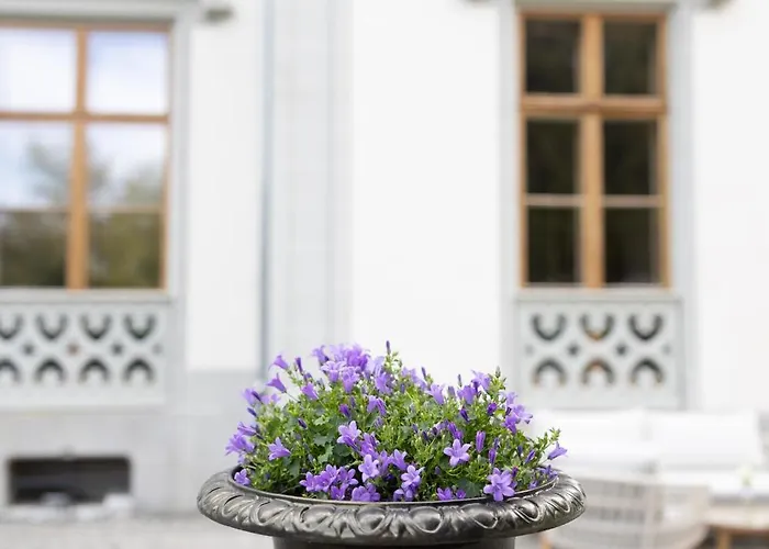 Chateau De L'aile- Boutique Frühstückspension Vevey