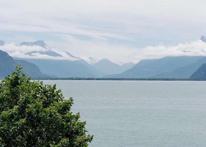 Chateau De L'aile- Boutique Vevey