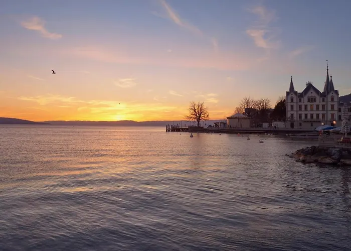 Chateau De L'aile- Boutique Vevey